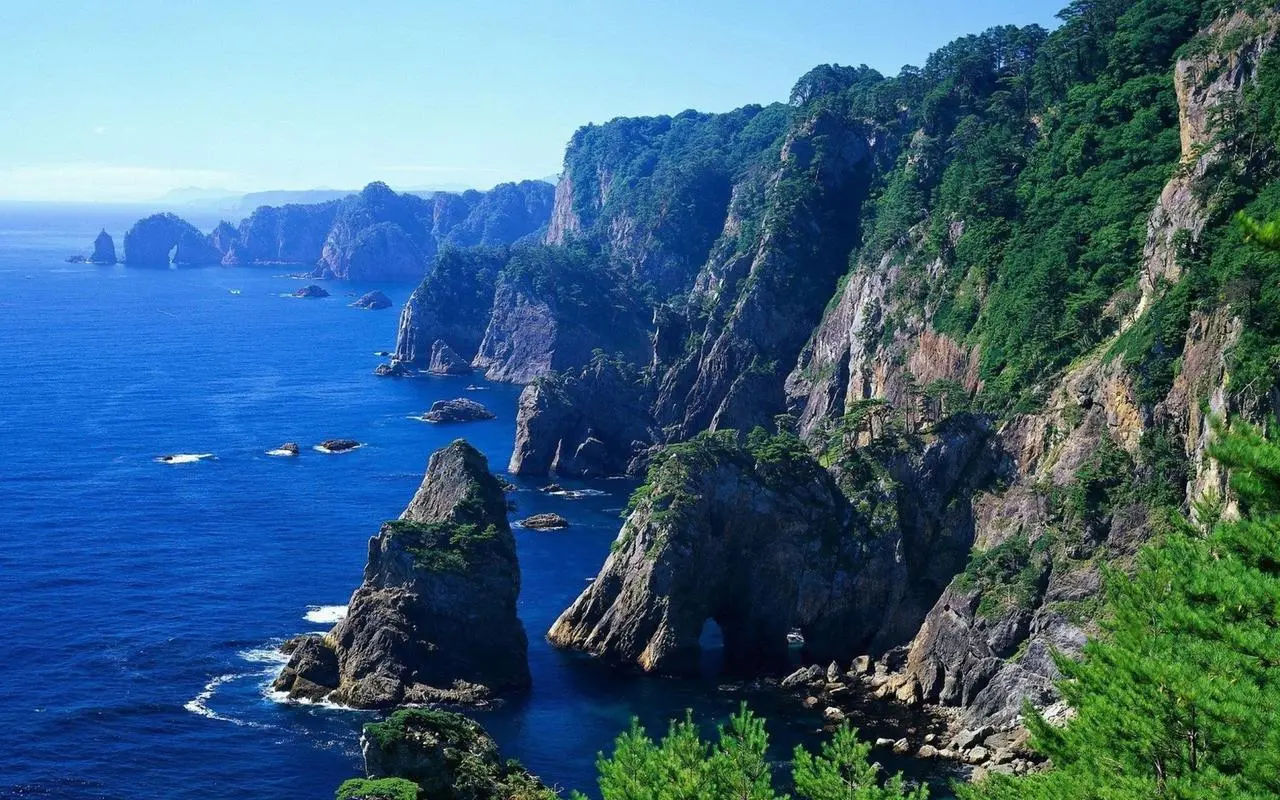 先进全自动科技